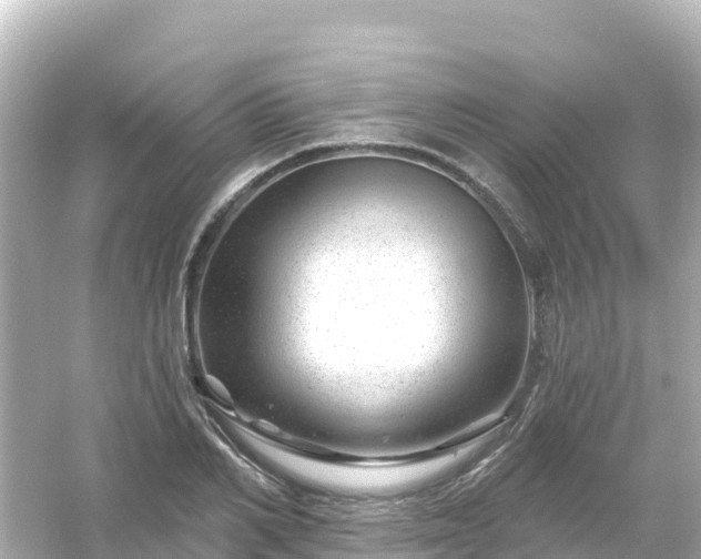 X0000054460982200508051946