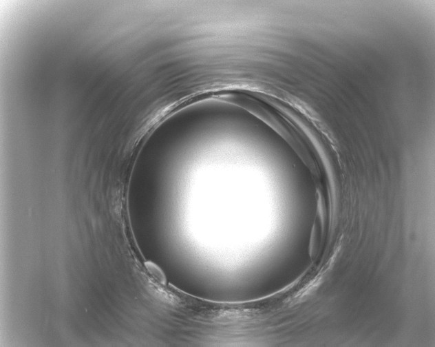 X0000054460985200508051946