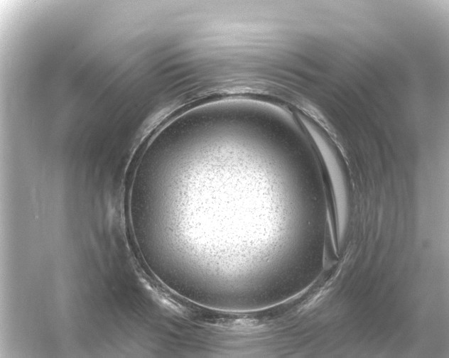 X0000054460986200508051946