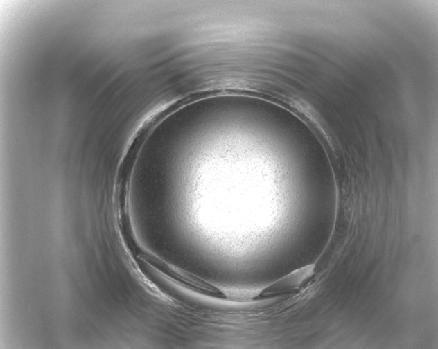 X0000054460987200508051946