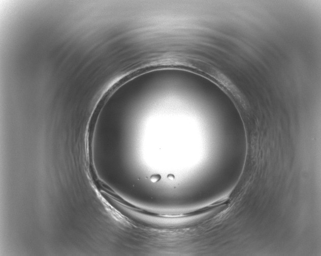 X0000054460988200508051946