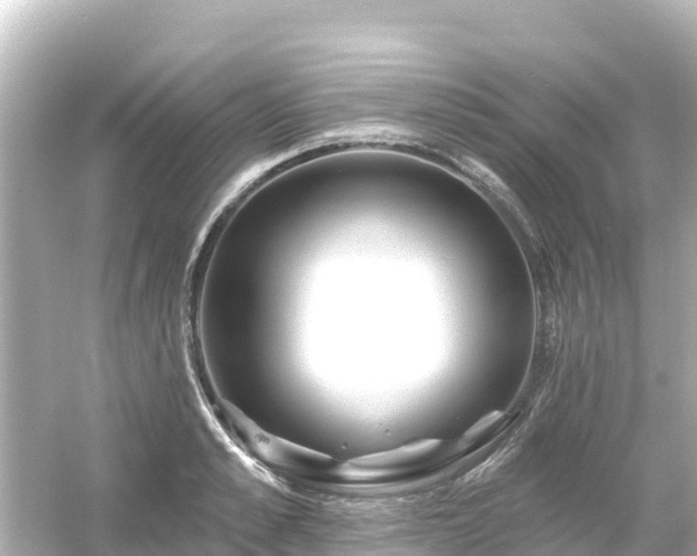 X0000054460989200508051946