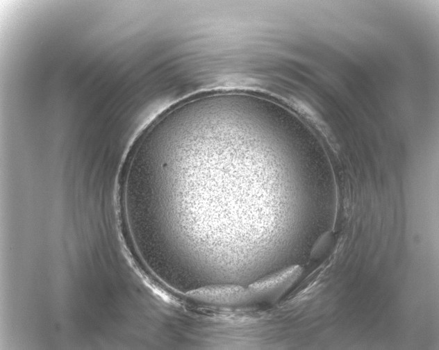 X0000054460990200508051946