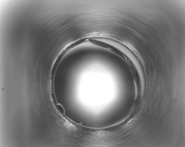 X0000054460992200508051946