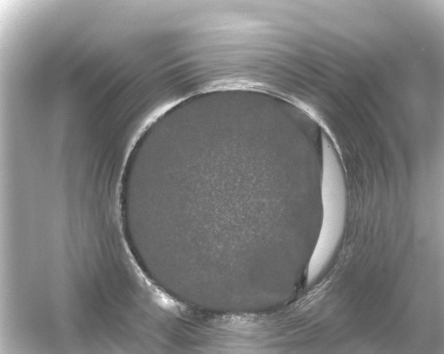 X0000054460995200508051946