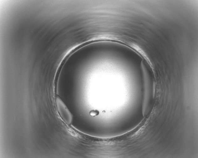 X0000054460996200508051946