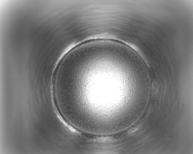 X0000054460998200508051946