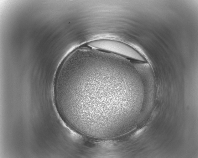 X0000054460999200508051946