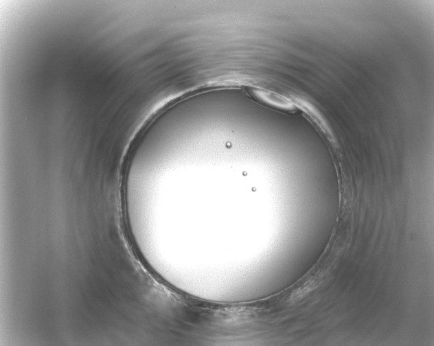 X0000054461000200508051946