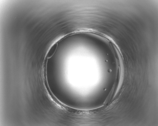 X0000054461003200508051946