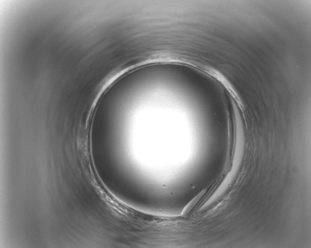 X0000054461004200508051946