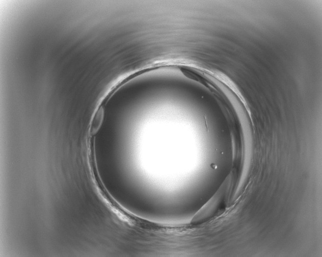 X0000054461005200508051946