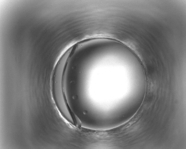 X0000054461006200508051946