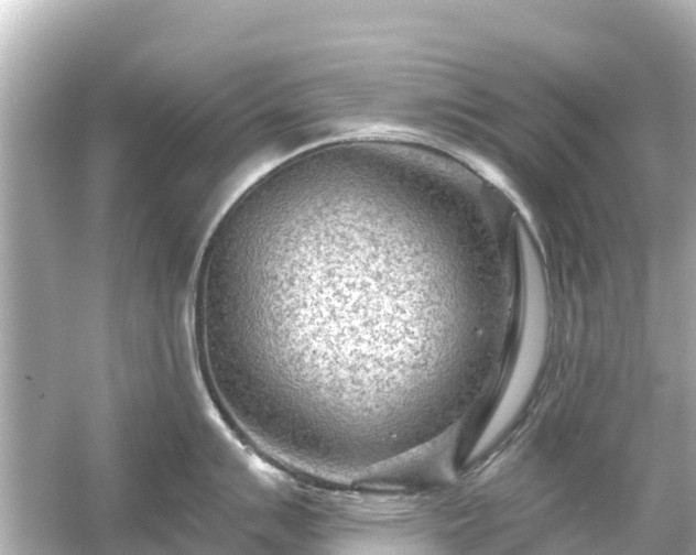 X0000054461007200508051946