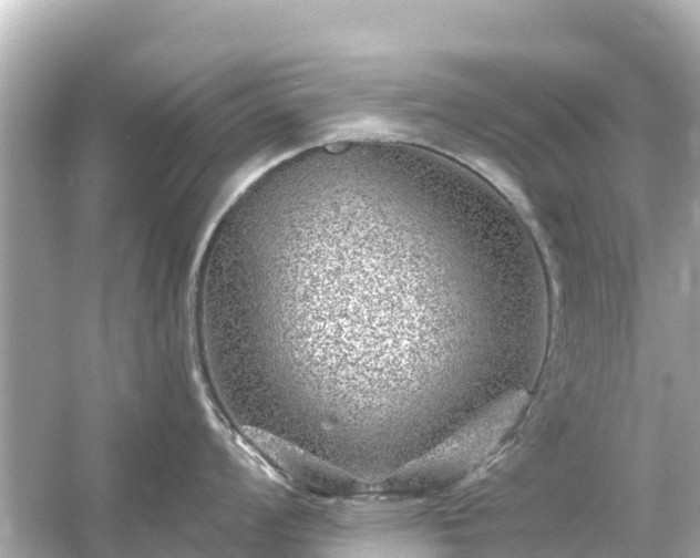 X0000054461008200508051946