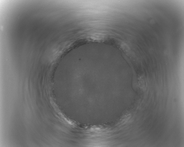 X0000054461009200508051945