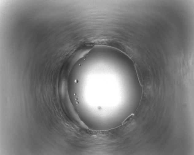 X0000054461010200508051945