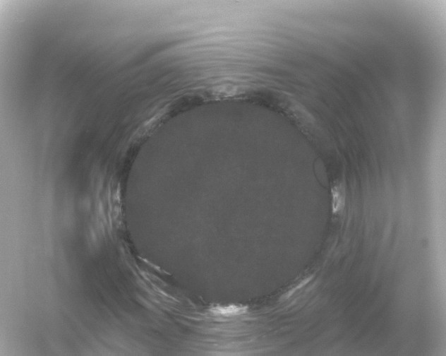 X0000054461011200508051945