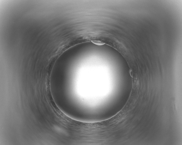 X0000054461012200508051945