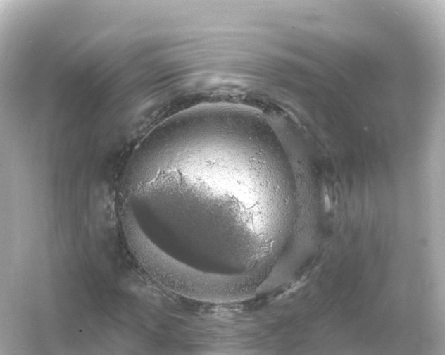 X0000054461013200508051945