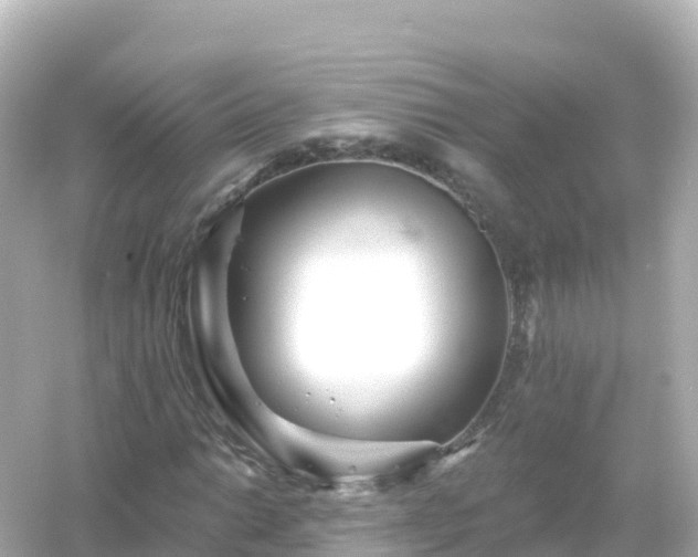 X0000054461014200508051945