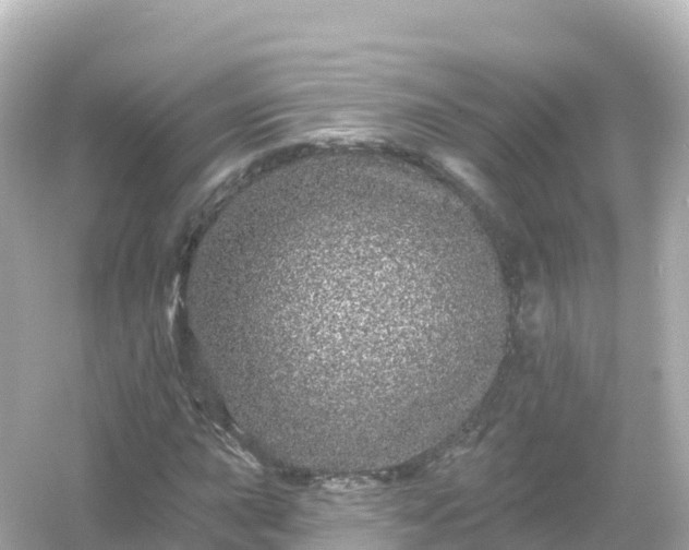 X0000054461015200508051945