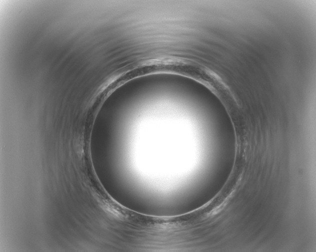 X0000054461017200508051945