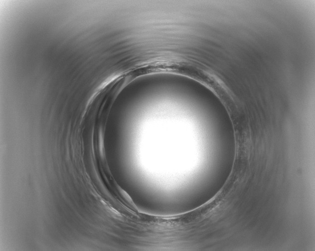 X0000054461018200508051945