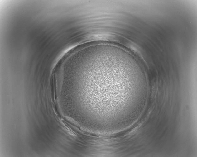 X0000054461019200508051945