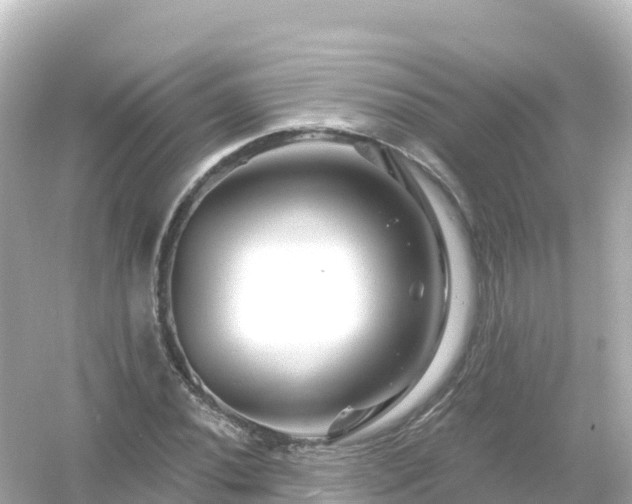 X0000054461020200508051945