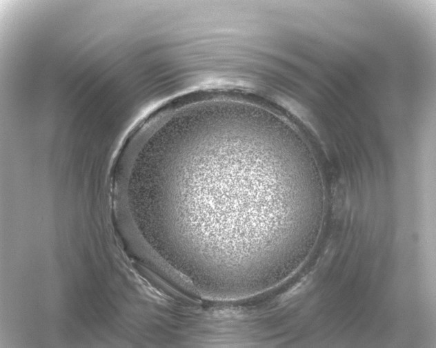 X0000054461021200508051945