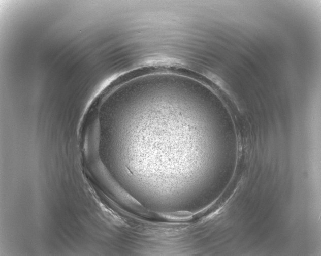 X0000054461022200508051945