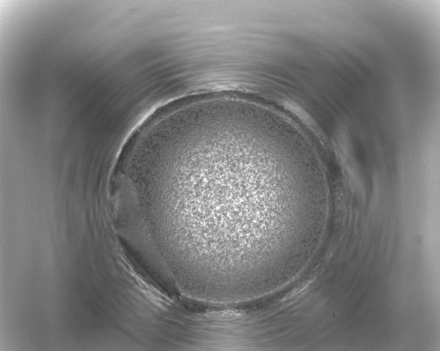 X0000054461023200508051945