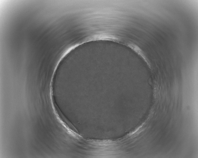 X0000054461024200508051945