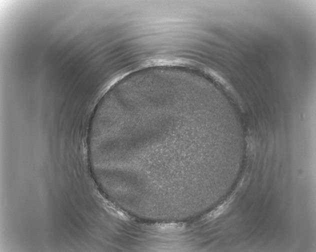 X0000054461025200508051945