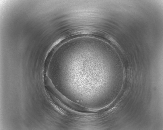 X0000054461026200508051945