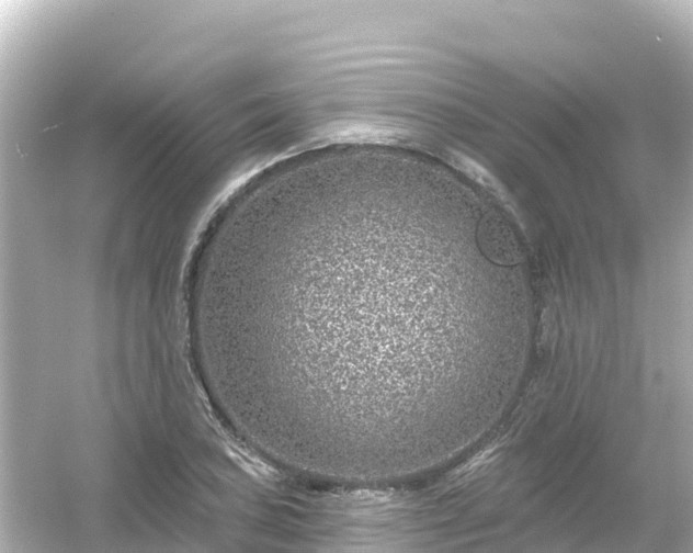 X0000054461027200508051945