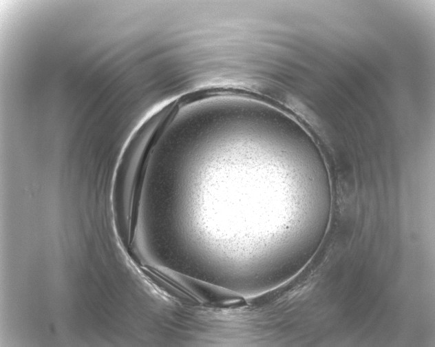 X0000054461028200508051945