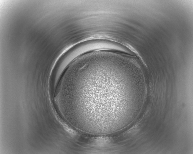 X0000054461029200508051945