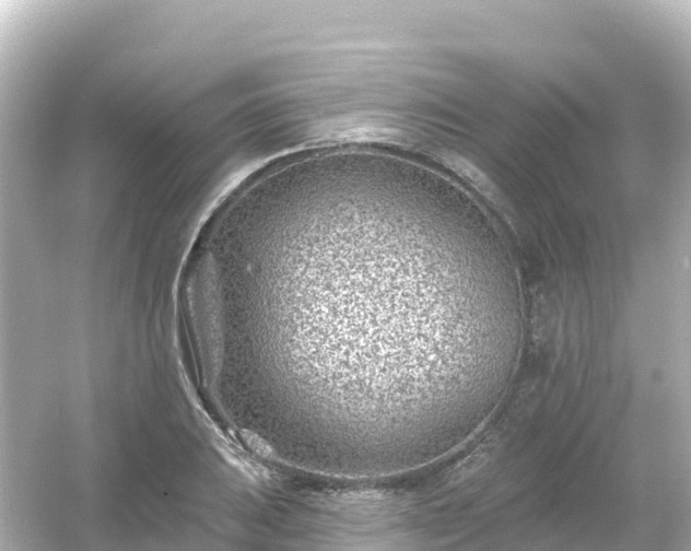 X0000054461031200508051945