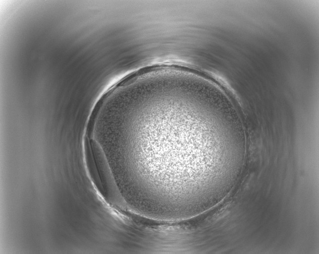 X0000054461032200508051945