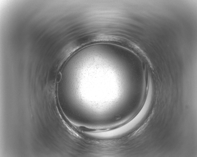 X0000054461033200508051945