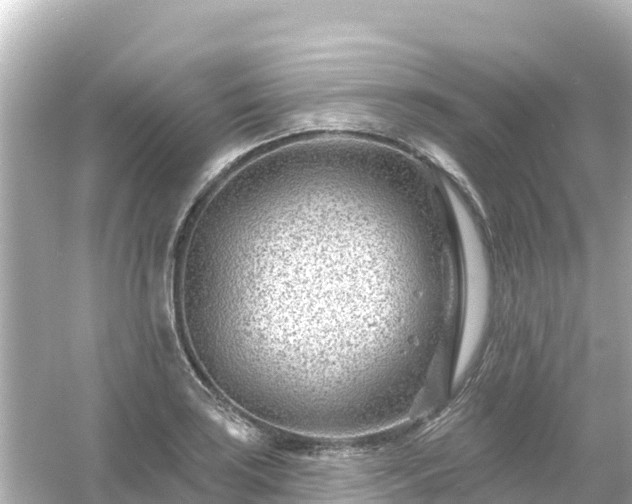 X0000054461035200508051945