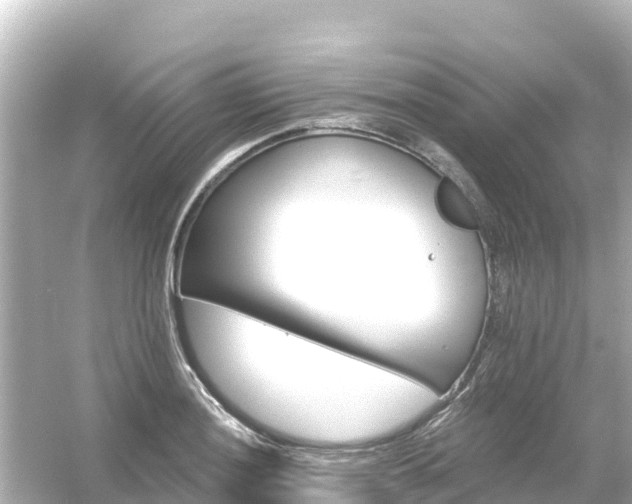 X0000054461036200508051945