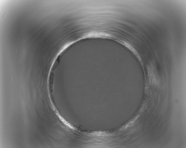 X0000054461037200508051945