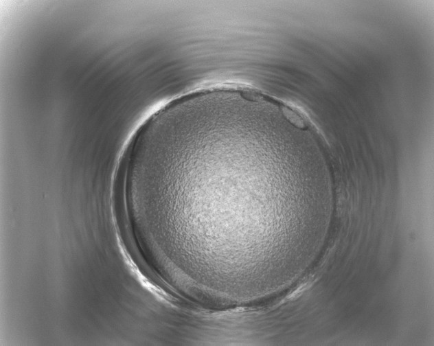 X0000054461038200508051945