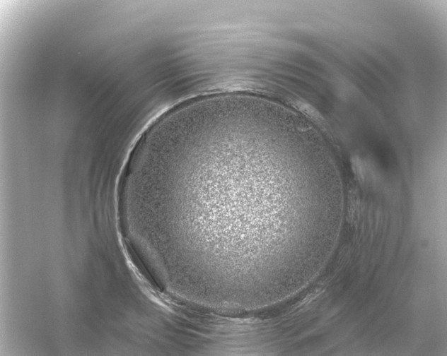 X0000054461039200508051945