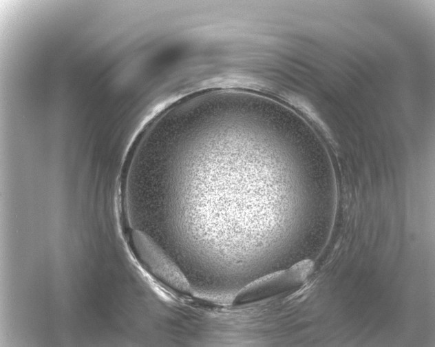 X0000054461040200508051945