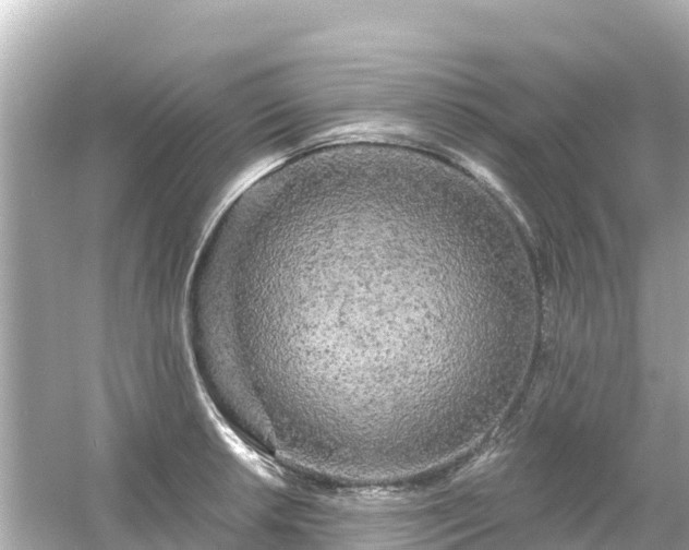 X0000054461042200508051945