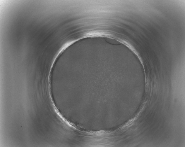 X0000054461045200508051946